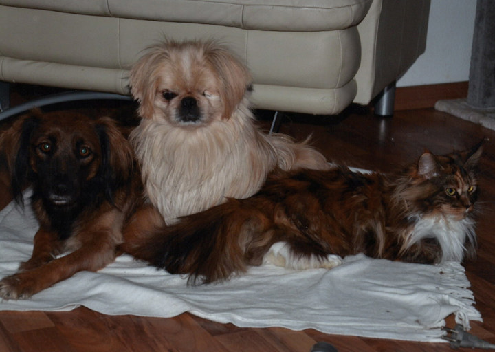 happy_1424297387Bilder von Monti von Fr.jpg