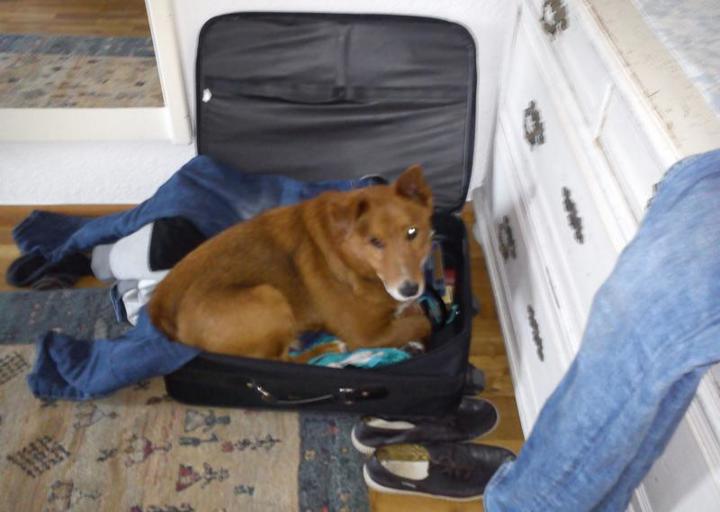 happy_1418070631K800_13 Ich komme mit zurück!.JPG