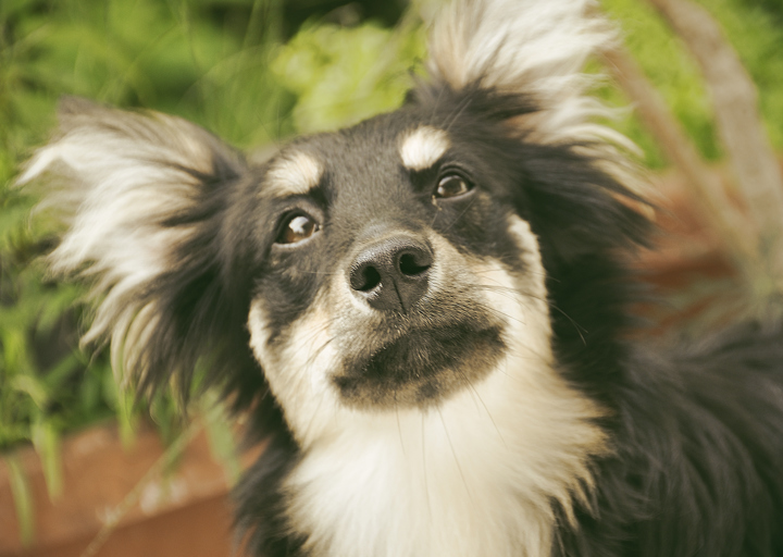 happy_1416686863_DSC0361 Kopie.jpg