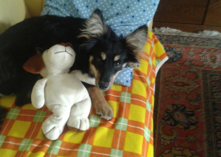 happy_1416686863Samsung Tel 039.jpg