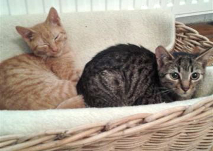 happy_1411307536Lothar_ Carlos_4.jpg