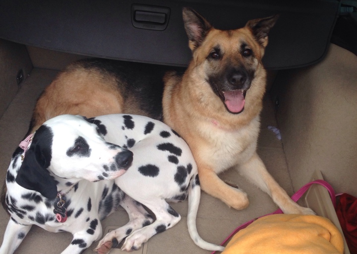 happy_1410708476Anhang 1.jpg