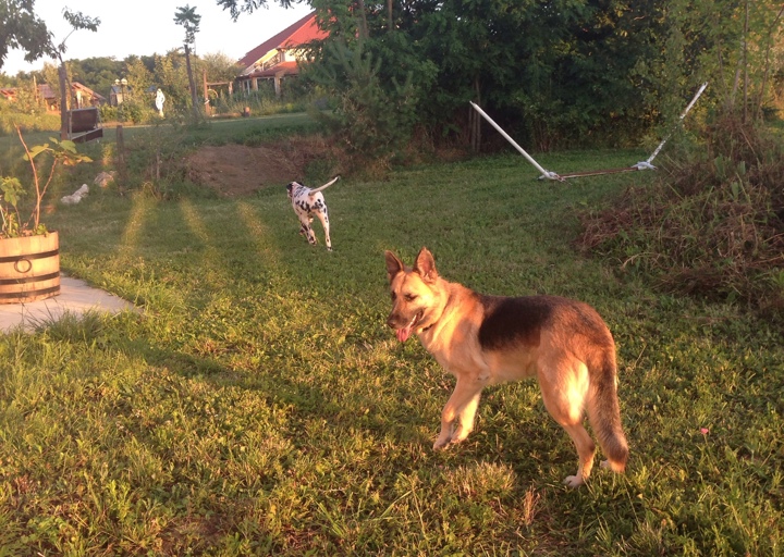 happy_1410708476Anhang 2.jpg