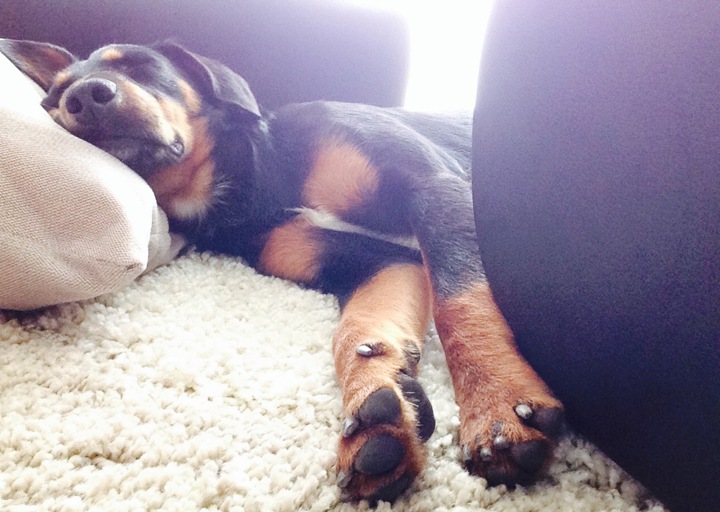 happy_1409685058Foto 07.07.14 18 32 47.jpg