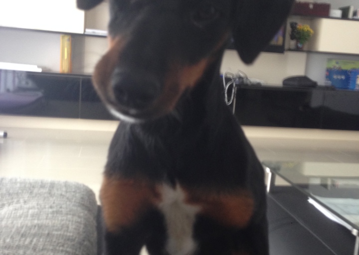 happy_1409685058Foto 30.06.14 12 29 26.jpg