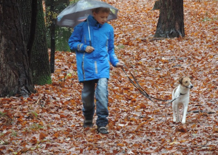 happy_14045986562014 026.jpeg