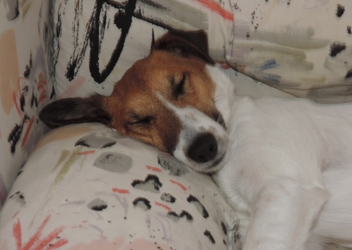 happy_14045986562014 440.jpeg