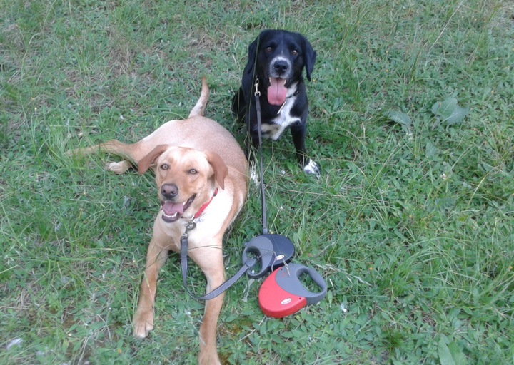 happy_1403905570privat1 124.jpeg