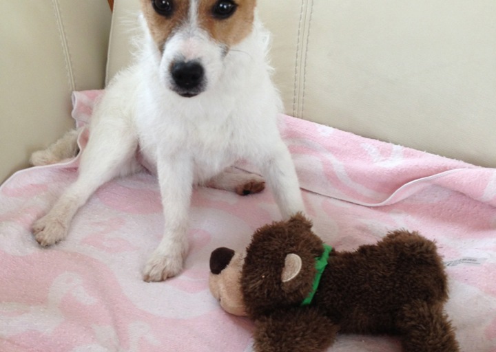 happy_140394416701_Noch etwas unsicher.jpeg