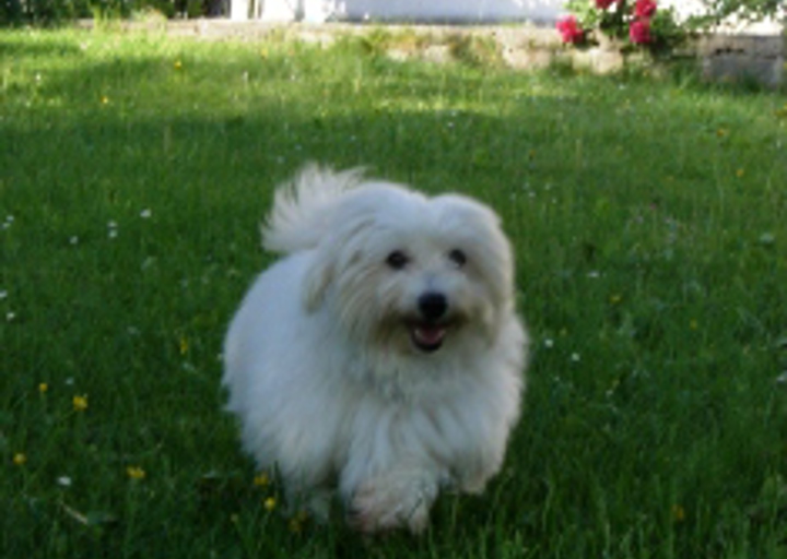 happy_1403290527LISA IM GARTEN 014.JPG