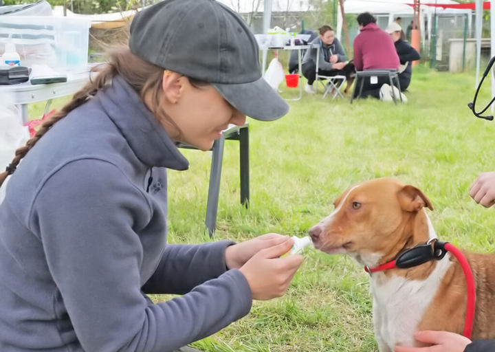 Kopie Von 25 05180131