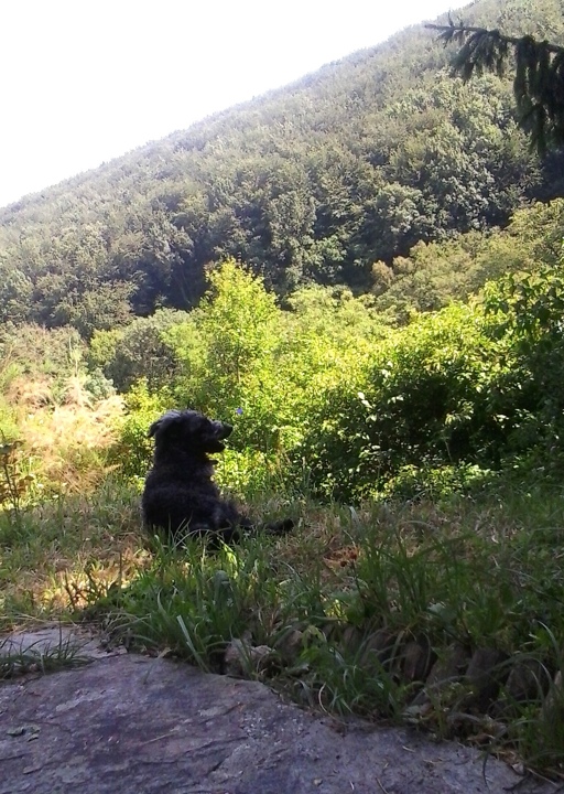 happy_1402688641Walli 2.jpg