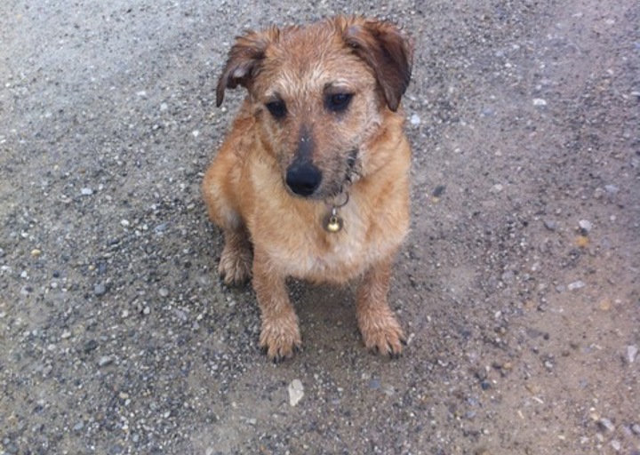 happy_1400701105Foto 1.jpeg