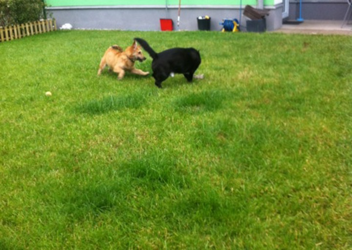 happy_1400701105Foto 4.jpeg