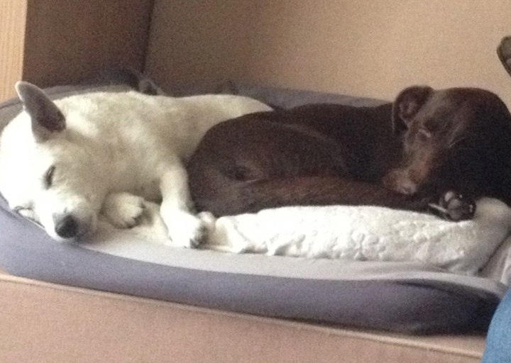 happy_1398888201Gretel und Anni.jpg