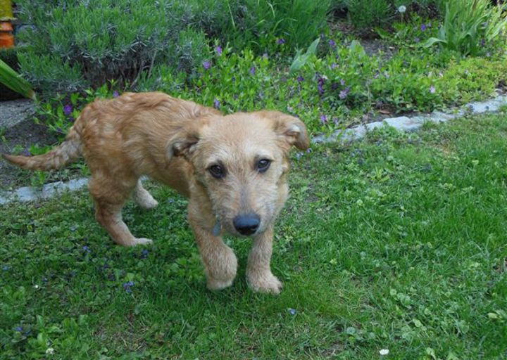 happy_1398714907Foto 1.JPG