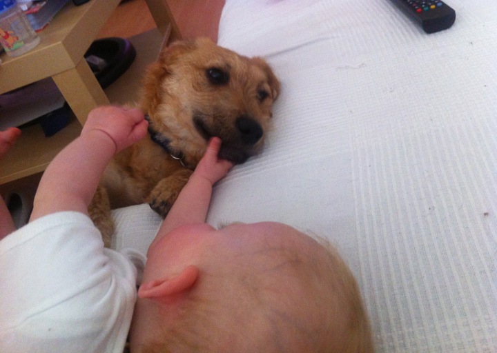 happy_1398714907Foto 3.jpeg