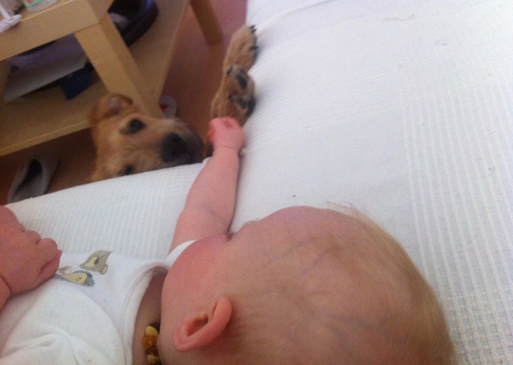 happy_1398714907Foto 2.jpeg