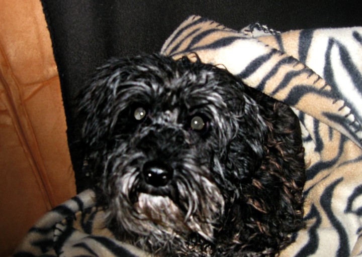 happy_1395177983ACA_Beautycare_Sasha März 02.jpg