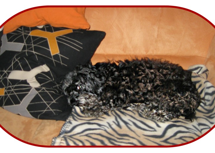 happy_1395177983ACA_Sasha solo_03_18_04.jpg