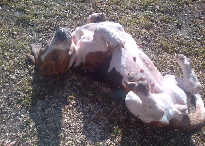 happy_1395948687Sonnentag 1.jpg