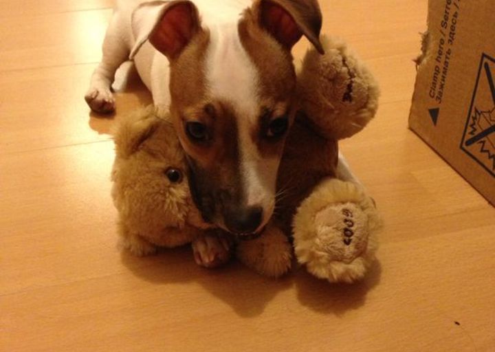 happy_13945698452014-02-16 12.34.37.jpg