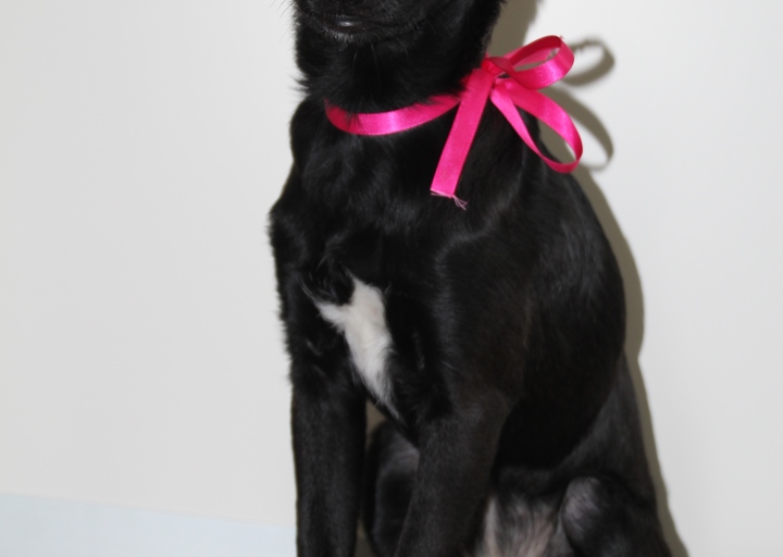 happy_1394395338pipi fotographin canon EOS D60 071.JPG