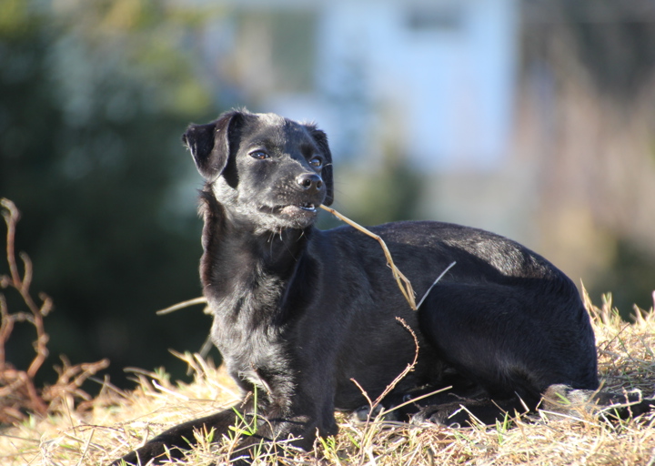 happy_1394395338pipi fotographin canon EOS D60 088.JPG