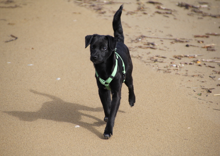 happy_1394395338pipi fotographin canon EOS D60 167.JPG