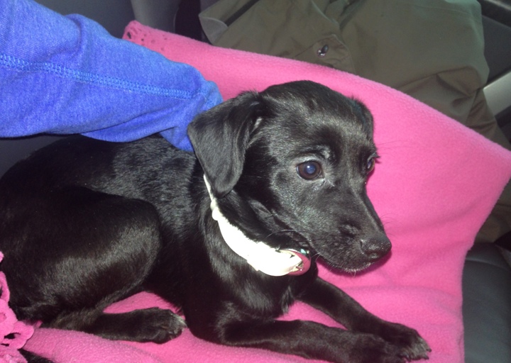 happy_1394395338kathii iphone 5c 2014 642.JPG