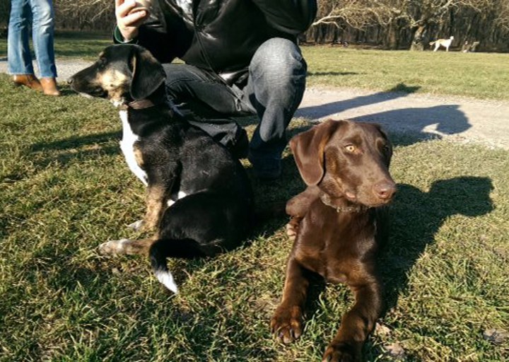 happy_1393444279Foto 1.JPG