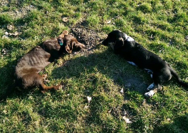 happy_1393444279Foto 2.JPG