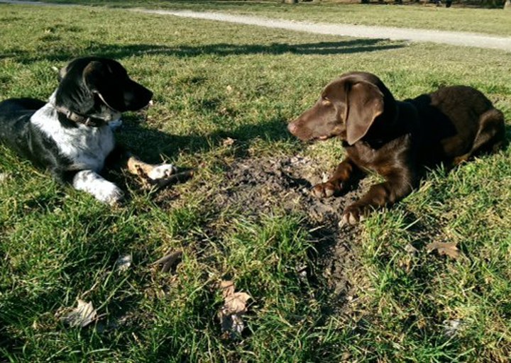 happy_1393444279Foto 3.JPG