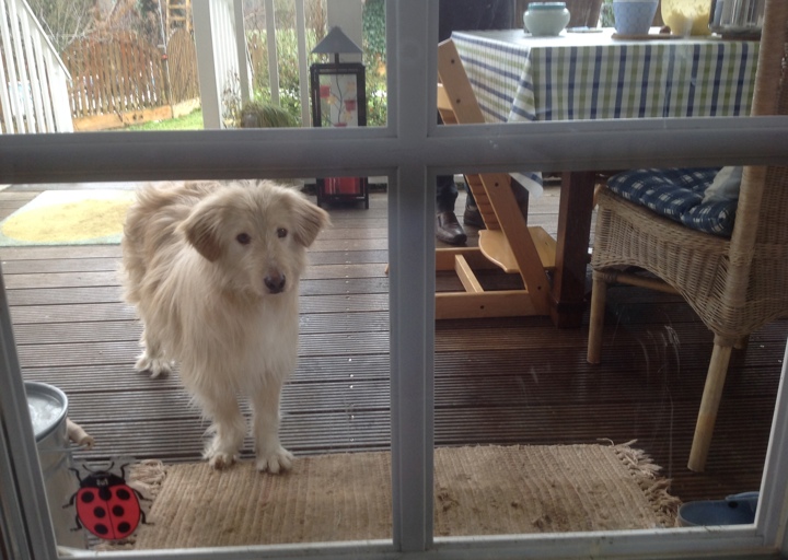 happy_1392125712Foto 1.JPG