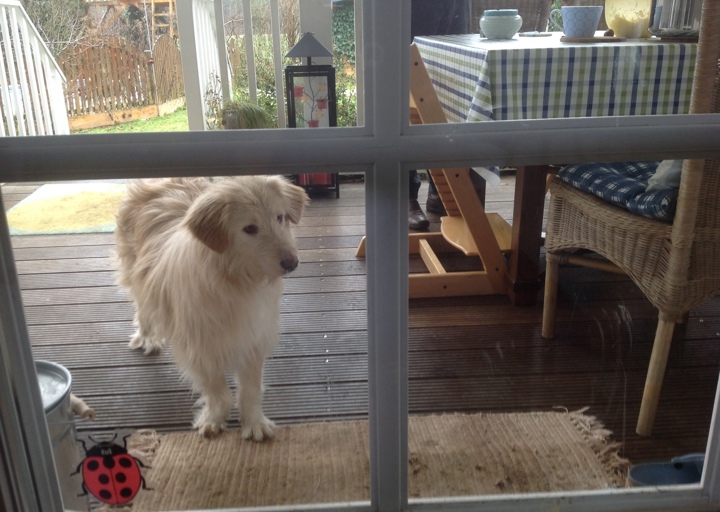 happy_1392125712Foto 2.JPG