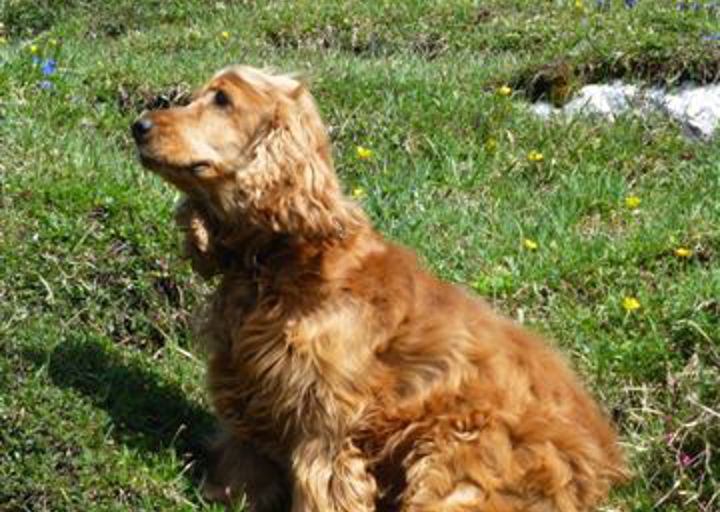 happy_1399220687Lettlkaser 008.jpg