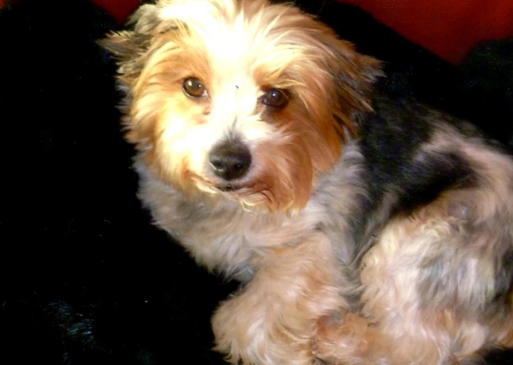 happy_1390502720Couch Camelia.jpg