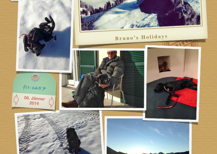 happy_1389301708Bruno.jpg (1)