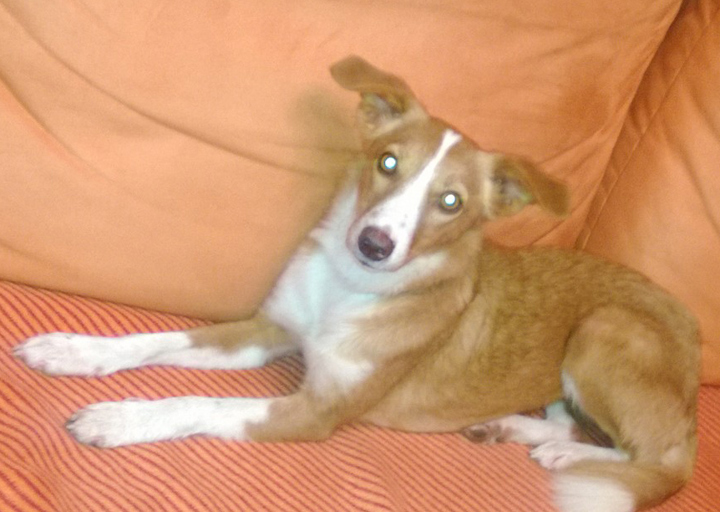 happy_1388515254Elisa zu Hause 28.10.jpg