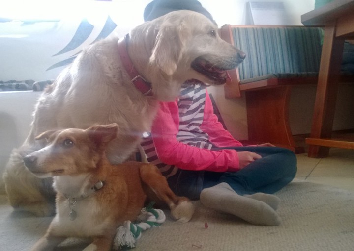 happy_1388515254Elisa K+ñrnten Weihnachten 2013 2.jpg