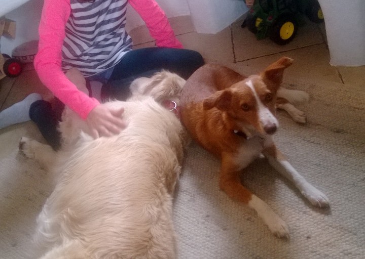 happy_1388515254Elisa K+ñrnten Weihnachten 2013.jpg