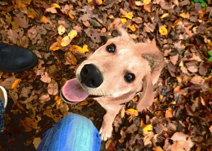 happy_1389734454Medi2 064.jpg