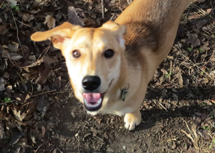 happy_1389734454Medi2 171.jpg