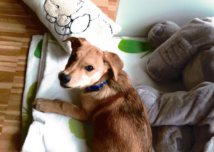 happy_1389734454Medi 024.jpg