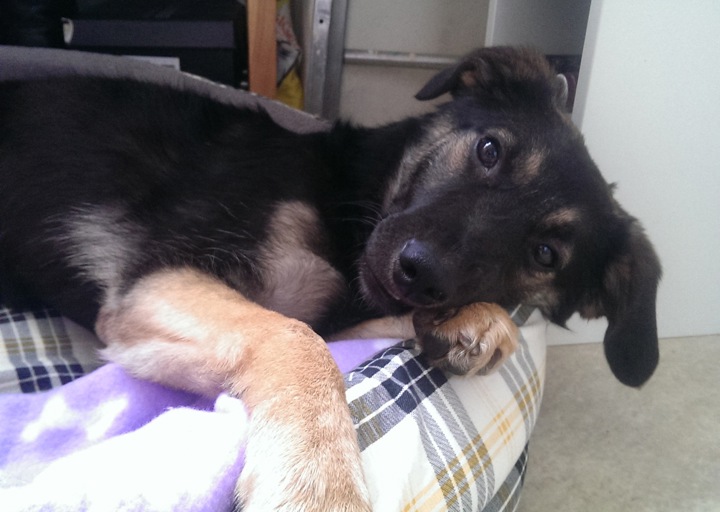 happy_13883524532013-12-08 12.39.36.jpeg