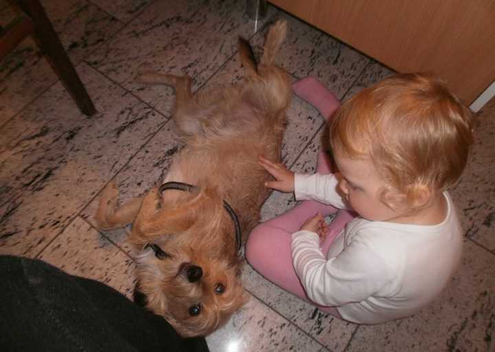 happy_1388353126Dezember 2013 127.jpg