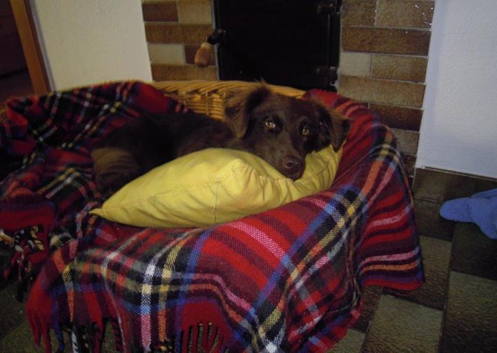 happy_1387580369Sommer 13 (3).jpg