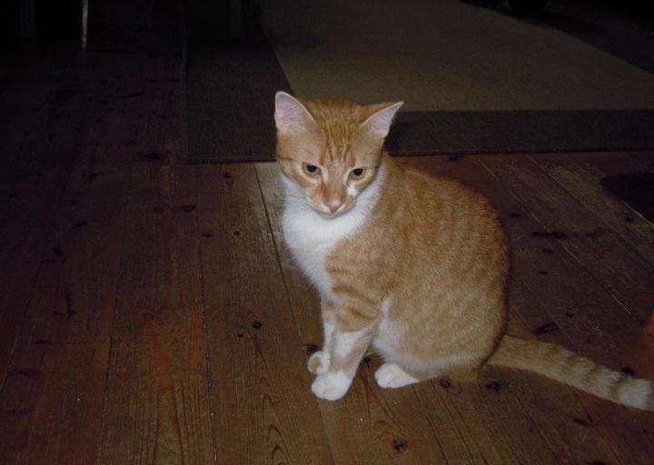 happy_1387581175Nov 13 (3).jpg