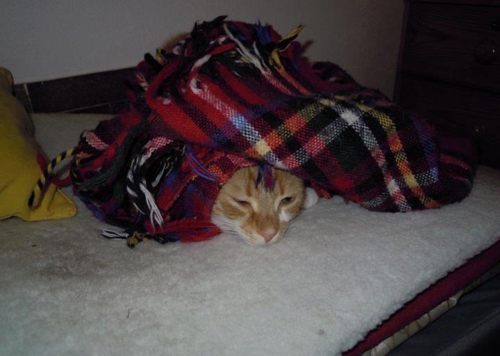 happy_1387581175Versteckenspiel mit Mara.jpg