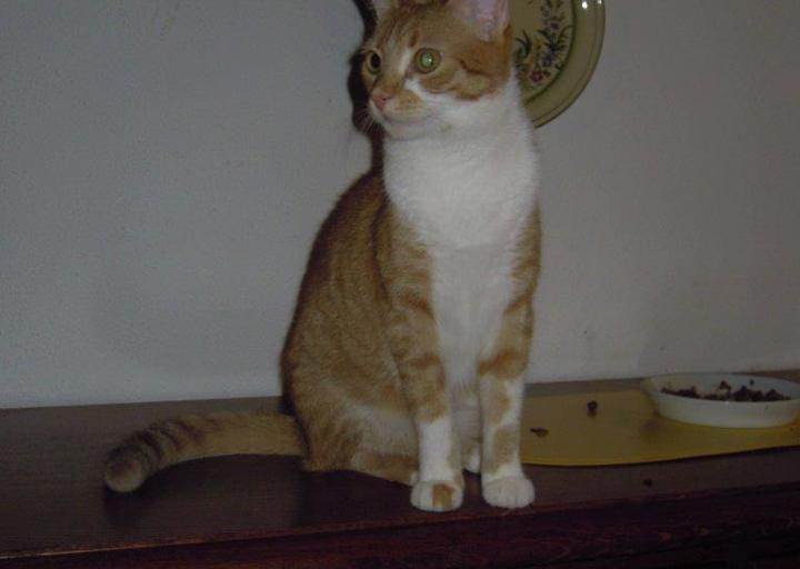 happy_1387581175Nov. 13.jpg